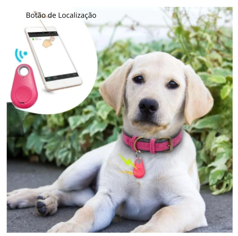Coleira com localizador GPS